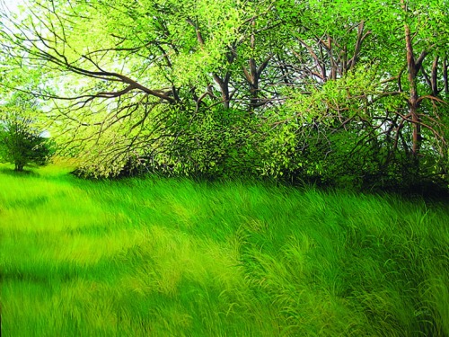 David Bottini, May Meadow Breeze, 30 x 40 inches, acrylic on canvas